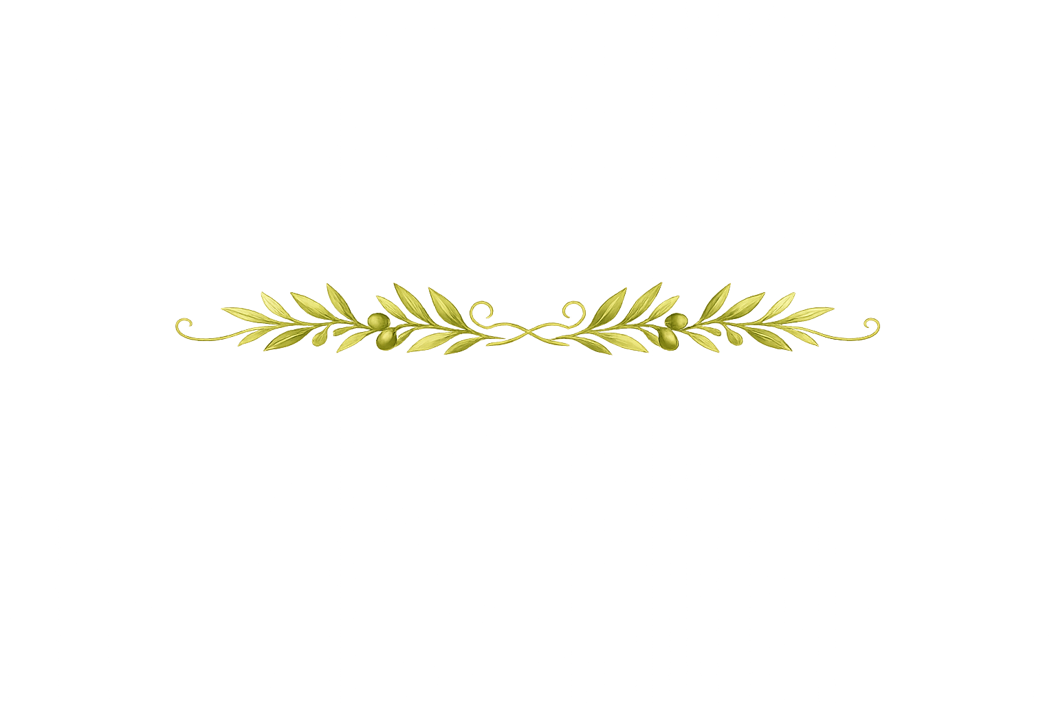 Olive Branch Divider