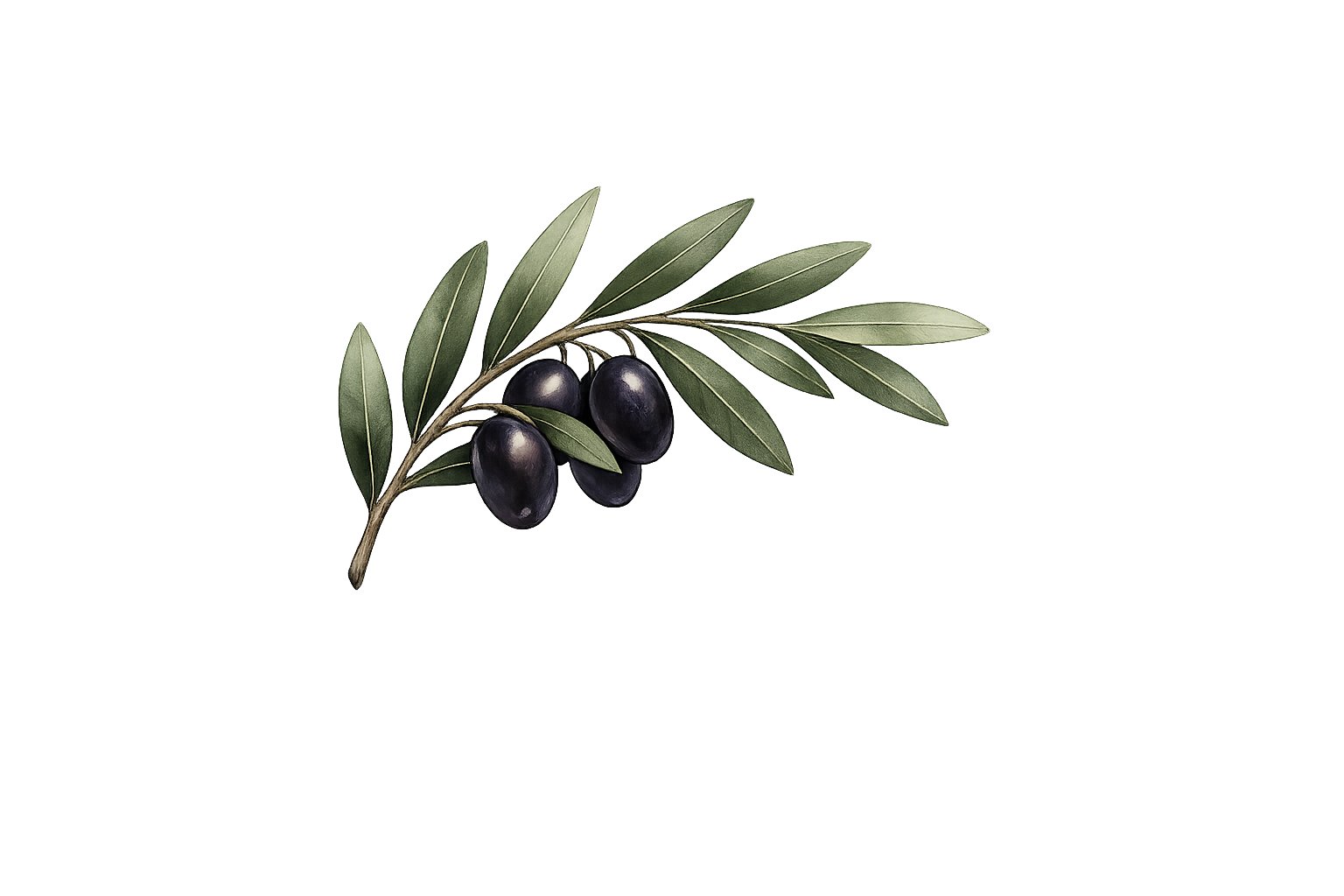 Olive decal